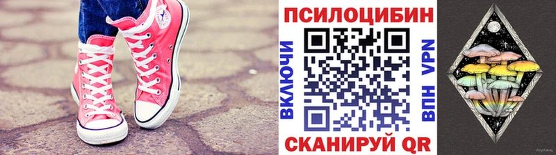 kraken онион  Суджа  Галлюциногенные грибы прущие грибы 